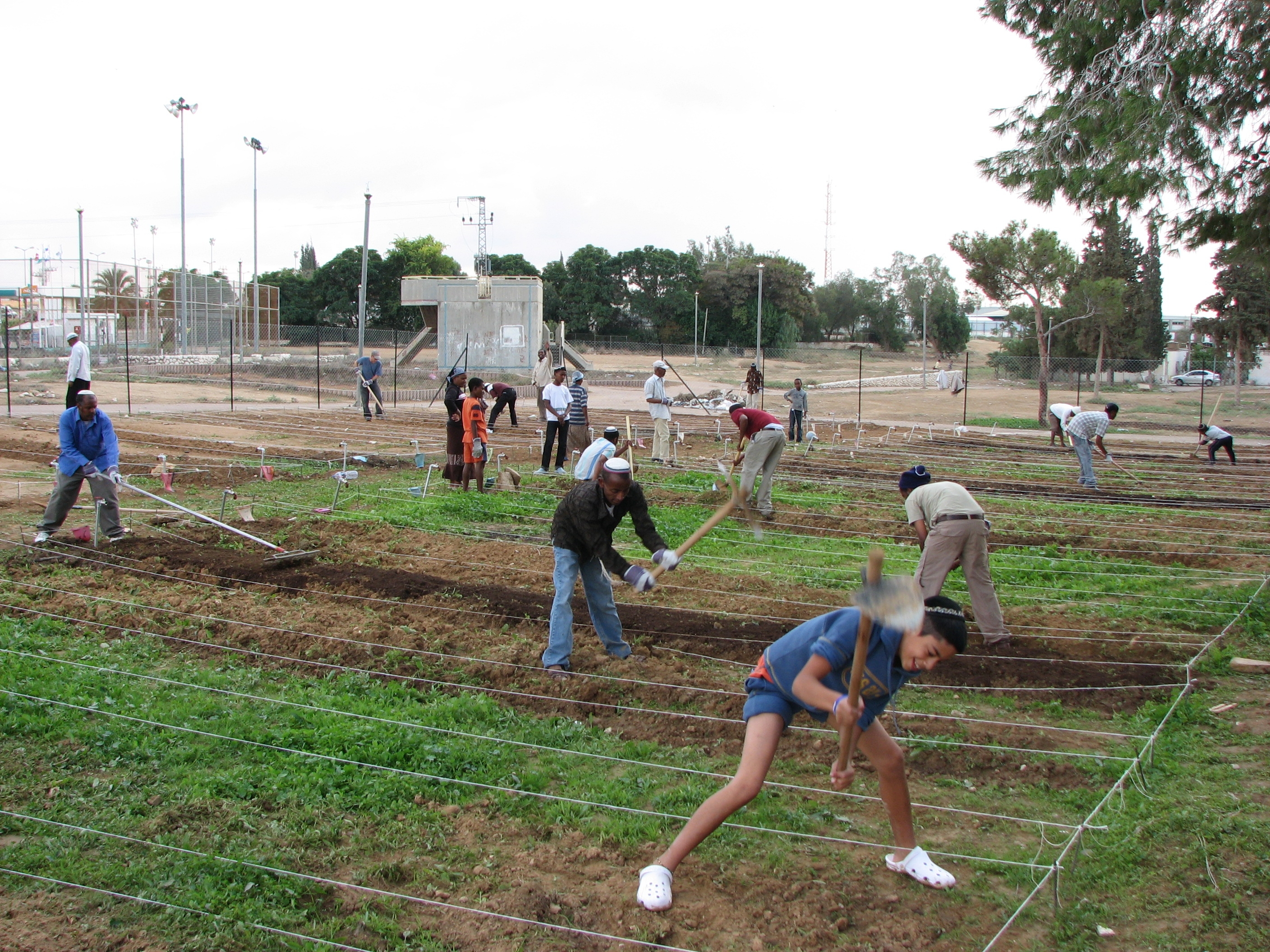 The first work days at the Community Garden (photo: Josh Straimer)