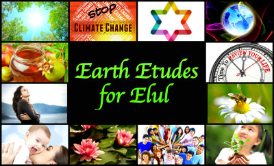earth-etudes-summary2