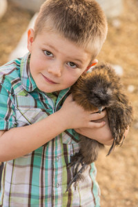 Boy loves his pet chicken