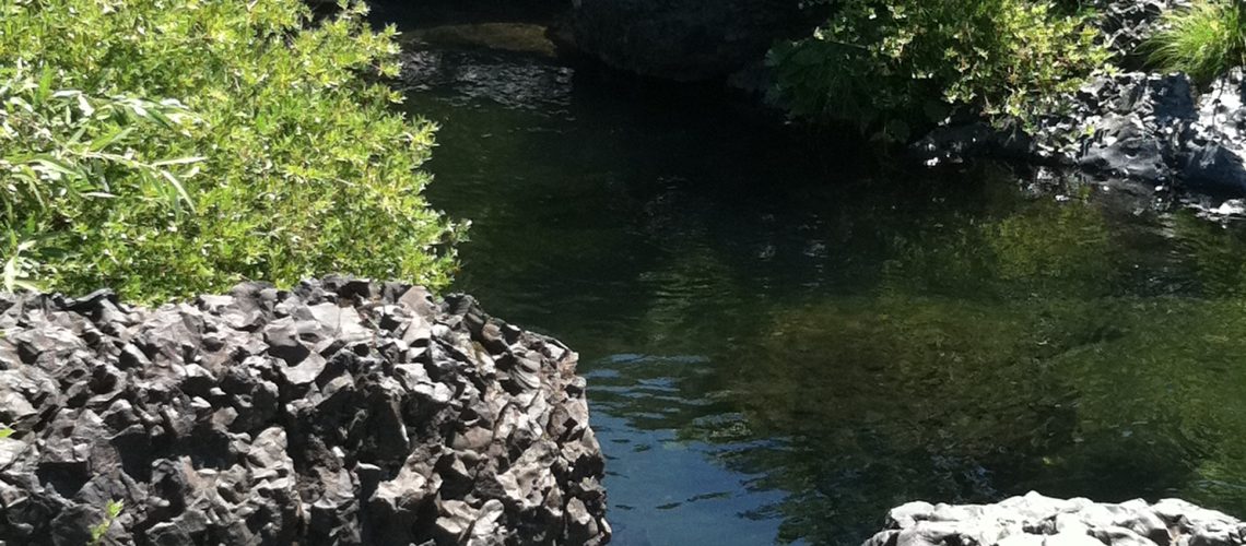 Bear Hole, Bidwell Park, Chico, CA
