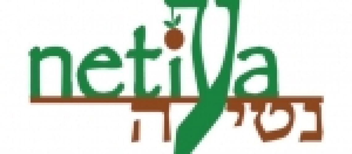 Netiya_Logotag_1_.jpg