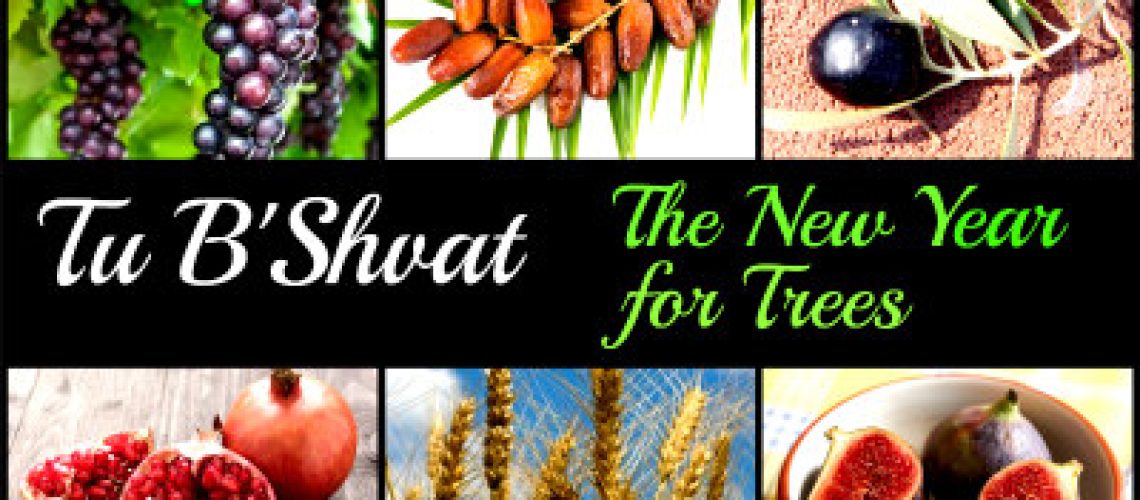Tu B'Shvat:The New Year for Trees