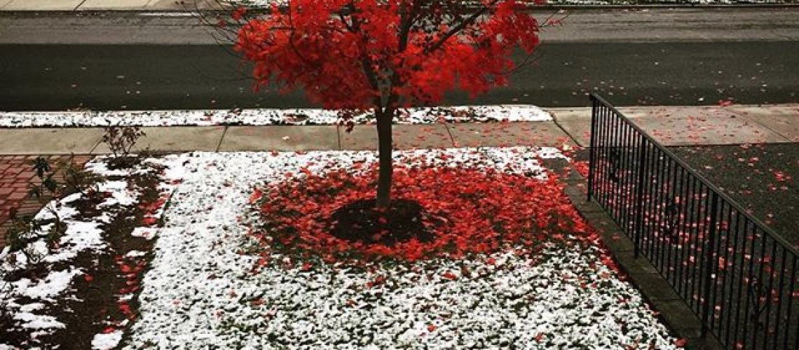 First snow of the season, Julie Danan