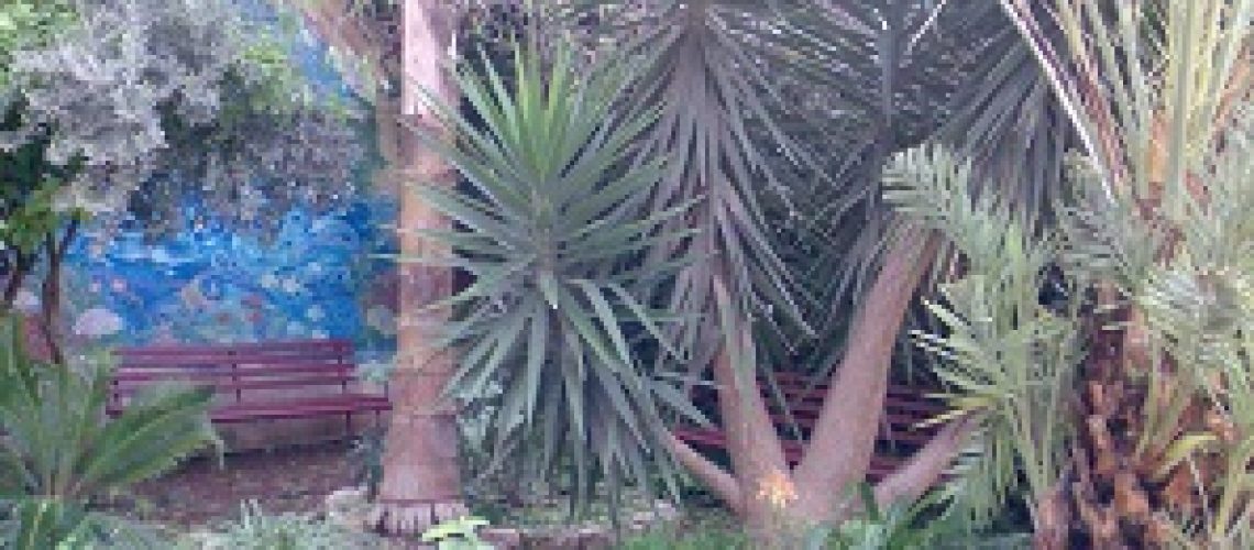 Stephen's Garden, Image from the City of Safed website http://www.safed.co.il/stevens-garden.html